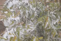 Dự báo thời tiết 21/11, miền Bắc có thể xuất hiện sương muối