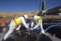 Tận mục mỏ vàng 40 tấn đất hiếm trong hố nước thải