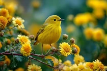 Sinh đúng ngày Âm lịch này, vận số an yên rạng rỡ lúc về già