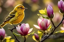 Top 3 con giáp tài lộc thăng hoa nhất năm 2026, trọn vẹn may mắn