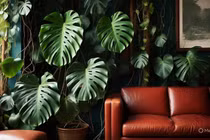 Muốn nhà hút lộc tháng 6, trồng cây cảnh nhớ kỹ quy tắc vàng