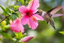 Cát khí bủa vây, 3 con giáp may mắn nhất tháng 8 dương, tiền đẻ ra tiền