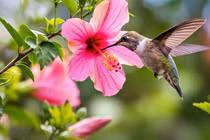 Cát khí bủa vây, 3 con giáp may mắn nhất tháng 8 dương, tiền đẻ ra tiền