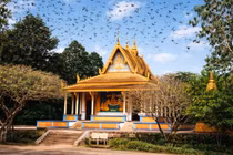 Chùa Dơi Khmer hơn 450 năm và bí ẩn heo 5 móng