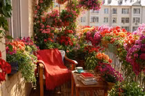 Top 4 cây cảnh tốt cho sức khỏe trong nhà mùa đông