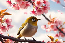 Ai sinh ngày Âm lịch này, cuộc đời đầy rẫy quý nhân