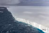 Tảng băng trôi lớn nhất thế giới A23a vỡ tan, gây lo ngại toàn cầu