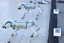 Mexico tung biệt đội chó robot K9-X bảo vệ World Cup 2026