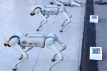 Mexico tung biệt đội chó robot K9-X bảo vệ World Cup 2026