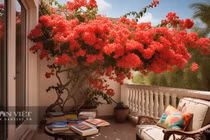 Cây cảnh "vạn người mê", chặn tà khí, rước tài lộc