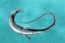 Phát hiện 'rồng sơ sinh' 150 triệu tuổi khiến giới khoa học bàng hoàng