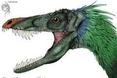 Choáng với loài khủng long có độc, cơ thể phủ đầy lông vũ 