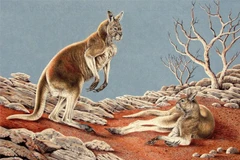 View - [INFOGRAPHIC] Loài chuột chũi mới phát hiện tại Thanh Hóa | Báo Tri thức và Cuộc sống - TIN TỨC PHỔ BIẾN KIẾN THỨC 24H