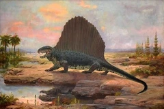 Tận mục tổ tiên của các loài động vật có vú, lưng đeo cánh buồm khủng