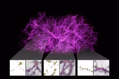 Công bố siêu bản đồ quy mô nhất về vũ trụ