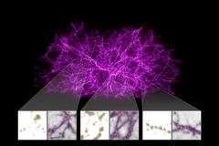 Công bố siêu bản đồ quy mô nhất về vũ trụ