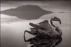  Kỳ dị “hồ máu” biến động vật thành tượng đá ở châu Phi