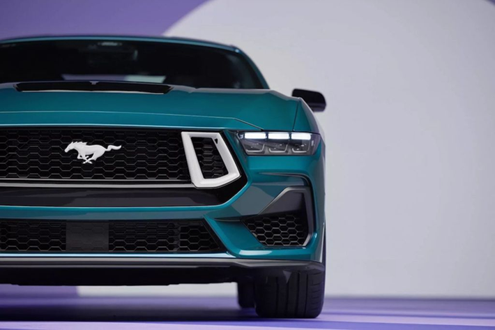 Nội thất Mustang FX được bọc vải caro giống như những chiếc Mustang Fox cổ điển, kết hợp với các miếng đệm bọc da với ghế tiêu chuẩn hoặc tuỳ chọn ghế thể thao Recaro.