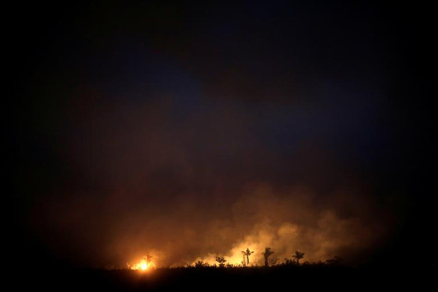 View - Bí ẩn cấu trúc hình kim tự tháp sâu trong rừng Amazon | Báo Tri thức và Cuộc sống - TIN TỨC PHỔ BIẾN KIẾN THỨC 24H