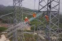 Ban QLDA Khu vực 3 chỉ định gói thầu điện gần 30 tỷ đồng cho Liên danh Trần Gia - Hùng An