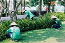 Gói thầu cây xanh gần 5 tỷ ở Tân Biên: Nhà thầu giá thấp hơn 1,54 tỷ bị loại?