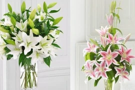 Bí quyết nhận biết đâu là hoa ly mới, đâu là hoa đông lạnh