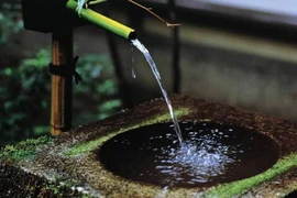 “Đứng hình” vì những lời chúc bá đạo ngày Tết