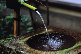 “Đứng hình” vì những lời chúc bá đạo ngày Tết