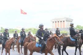 Cảnh sát cơ động kỵ binh VN thuần hóa được bao nhiêu ngựa hoang?