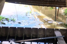 Hai nữ sinh tiểu học tử vong thương tâm dưới mé kênh gần nhà