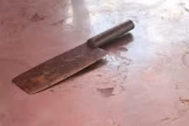 Cháu trai chém bà nội tử vong rồi đẩy xác xuống mương vì không cho tiền