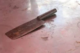 Cháu trai chém bà nội tử vong rồi đẩy xác xuống mương vì không cho tiền