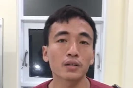 Đình chỉ điều tra vụ cháu trai chém bà nội tử vong