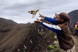 Độc đáo nghi lễ hiến sinh Yadnya Kasada ở Indonesia 