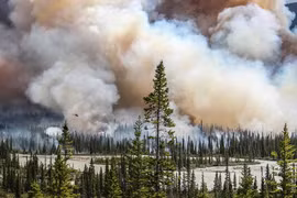 Thi ảnh Atkins CIWEM 2016, cảnh báo môi trường