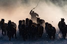 Loạt ảnh đẹp tuyệt đoạt giải thưởng National Geographic 2016