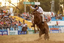 Gay cấn cuộc đua ngựa truyền thống ở Argentina