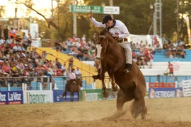 Gay cấn cuộc đua ngựa truyền thống ở Argentina