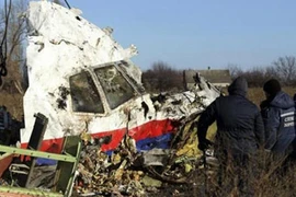 Máy bay MH17 bị tên lửa BUK bắn hạ ở đông Ukraine