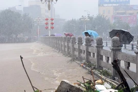 Chùm ảnh bão đổ bộ Trung Quốc trước khi về Việt Nam