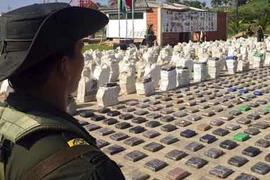 Cảnh sát Colombia tịch thu 8 tấn cocaine giá 240 triệu USD