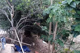 Bé gái 6 tuổi bị thanh niên sinh năm 2001 bế ra sau vườn dâm ô