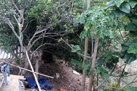 Bé gái 6 tuổi bị thanh niên sinh năm 2001 bế ra sau vườn dâm ô