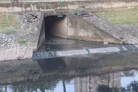 Cống nước thải xả trực tiếp ra sông, 100 năm nữa Tô Lịch cũng không hết ô nhiễm