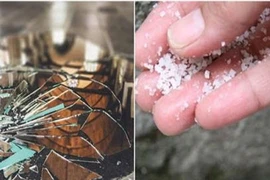 Chị em lưu ý những đồ vật tuyệt đối không được mang vào nhà