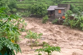 2 người chết, 13 người mất tích do mưa bão số 3