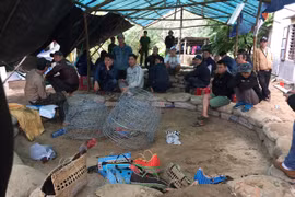 Cảnh sát Đà Nẵng phát hiện 23 người đàn ông quây quanh 2 con gà