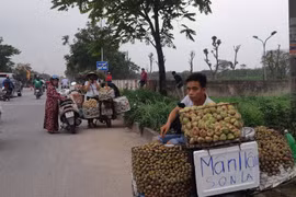 Chùm ảnh: Hàng rong tự phát bán tràn lan trên đại lộ Thăng Long