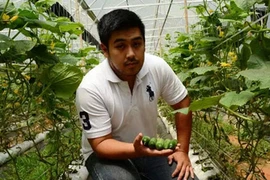 Ngưỡng mộ "Hot boy" 8X du học Mỹ... về bán rau củ tí hon