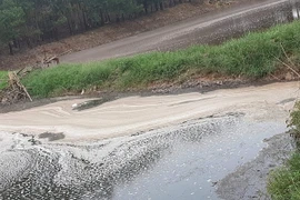 Nhà đầu tư Trung Quốc chuẩn bị xây nhà máy xử lý rác tại TP Bắc Giang